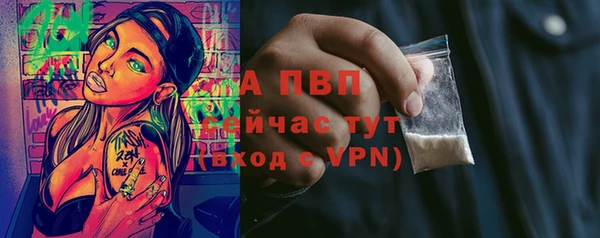 ПСИЛОЦИБИНОВЫЕ ГРИБЫ Киренск