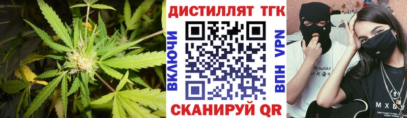 Купить где  Макушино  ТГК концентрат 