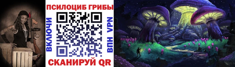 Купить  Макушино  Псилоцибиновые грибы Psilocybine cubensis 