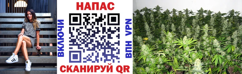 Купить где  Макушино  Марихуана Bruce Banner 